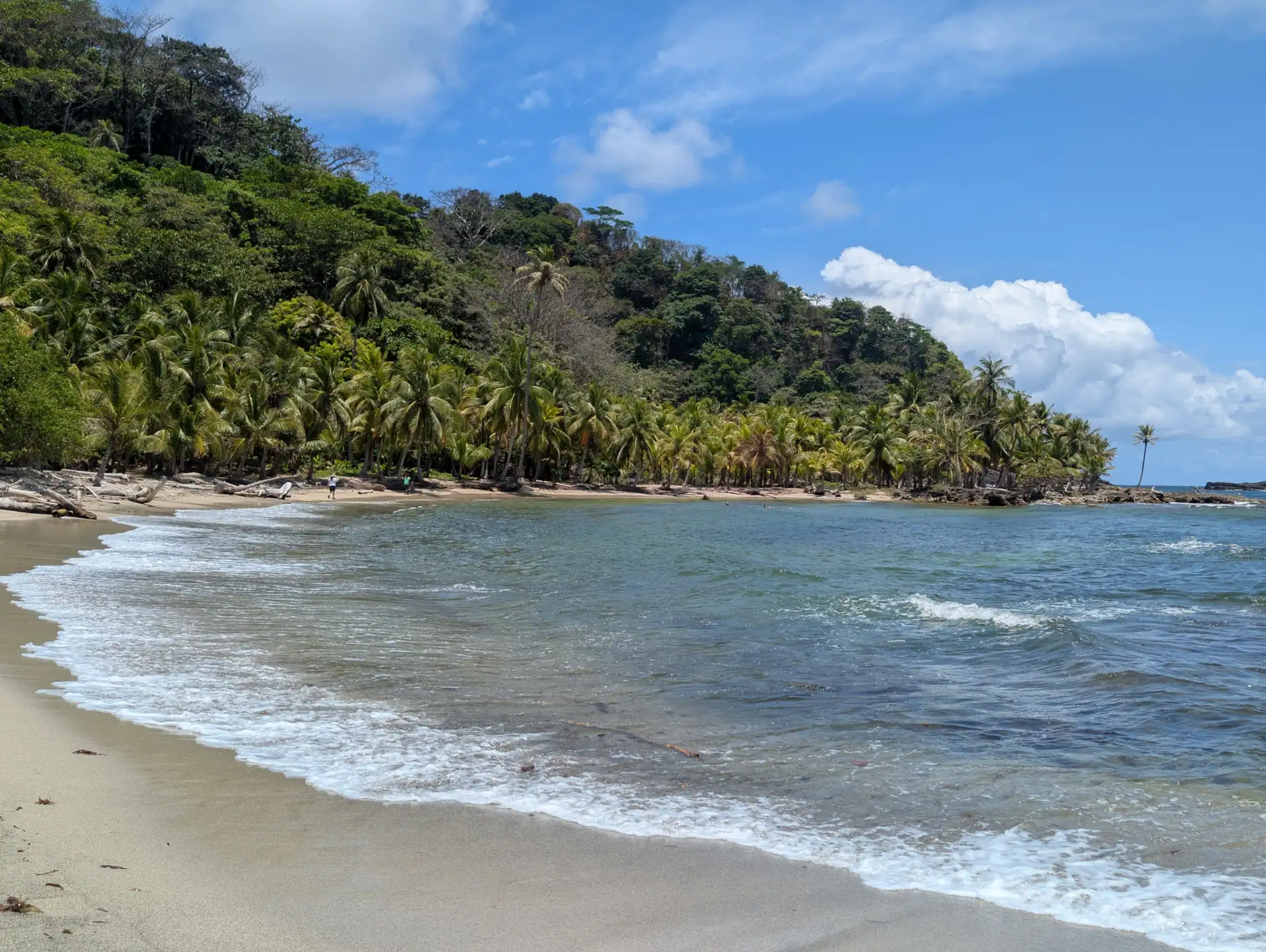 Plage de sable bord&eacute;e de palmiers et de for&ecirc;t tropicale