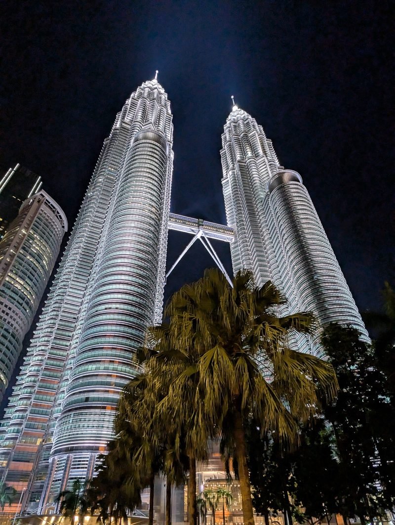 Les tours Petronas derri&egrave;re les palmiers, de nuit