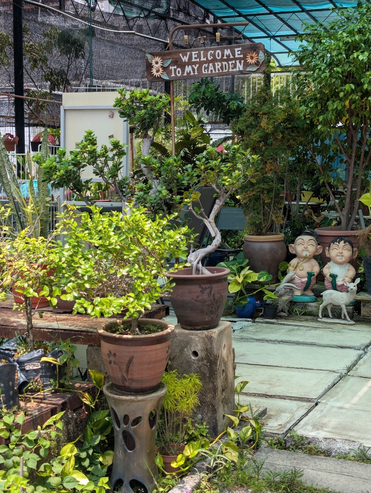 Jardin de plantes en pot avec un panneau Welcome to my garden, &agrave; George Town